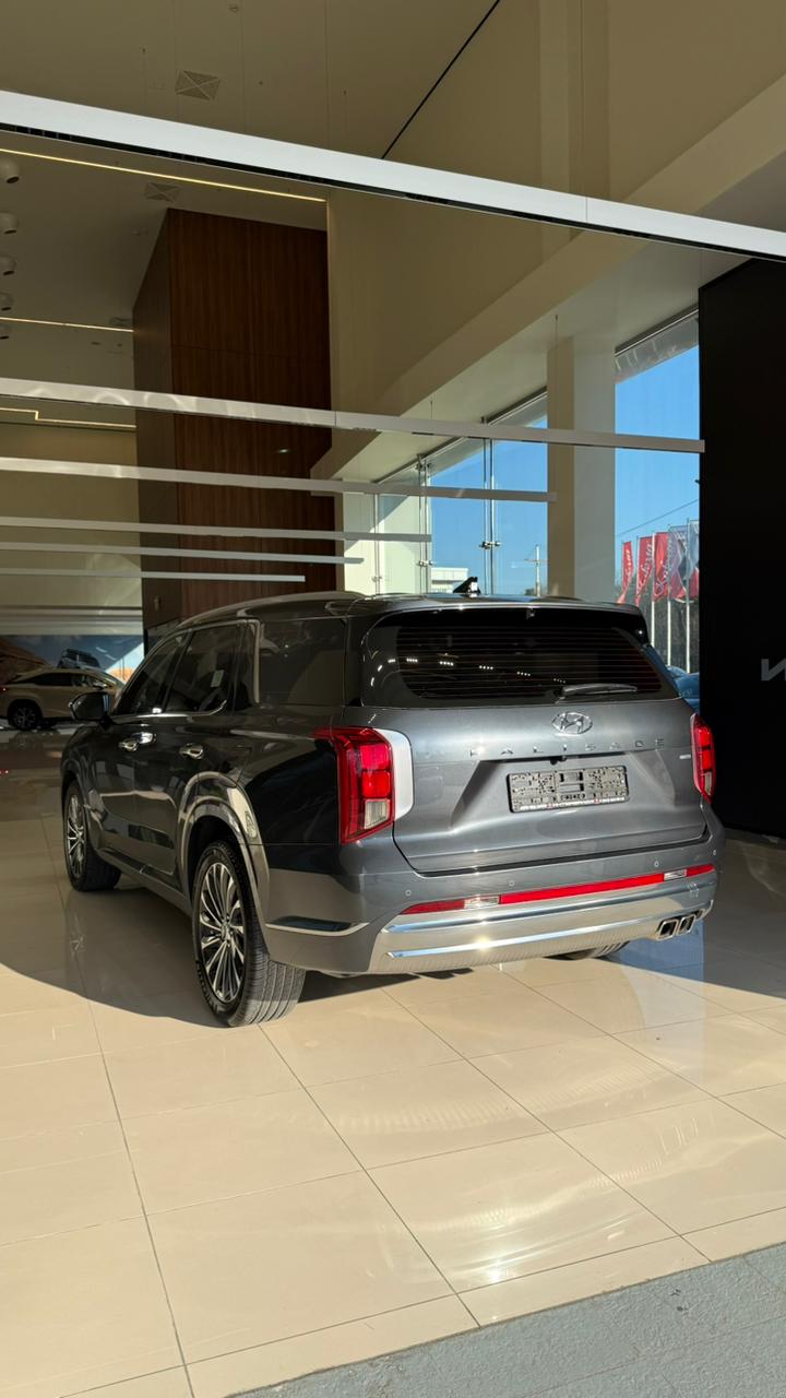 Hyundai Palisade, 2022 - фото 10